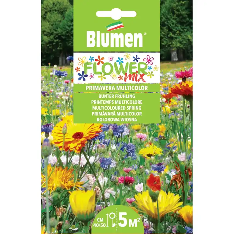 Favoriet Semi mix di fiori primaverili multicolor