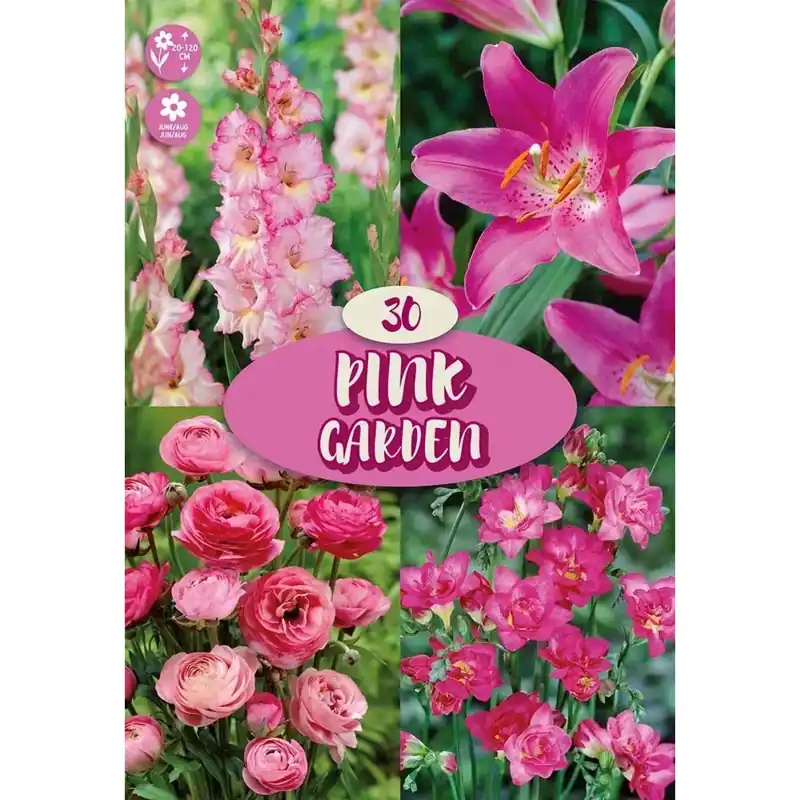 Rechtstreeks Van De Fabrikant Bulbi da fiore Pink Garden