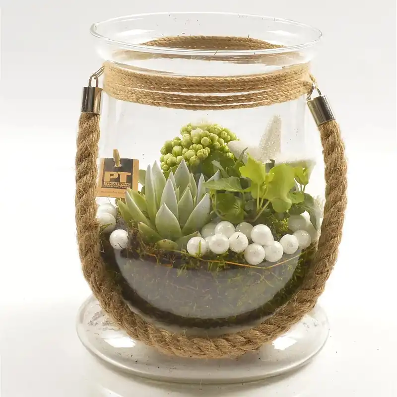 Favoriet Composizione Kalanchoe e Echeveria bianco vaso in vetro