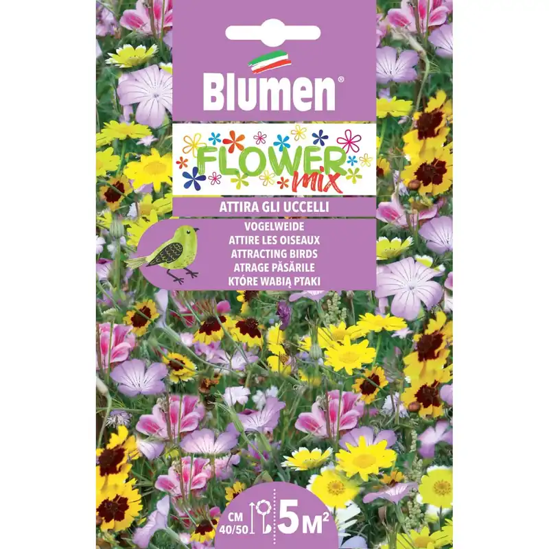 Tijdelijk Beschikbaar Semi mix di fiori che attirano gli uccelli