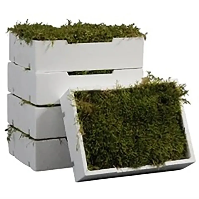 Muschio in scatola di polistirolo 26 cm Merkproduct