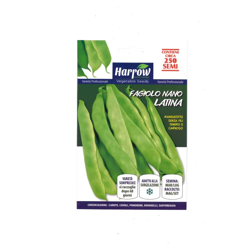 Uitverkoop Semi orto Harrow Fagiolo Latina 250