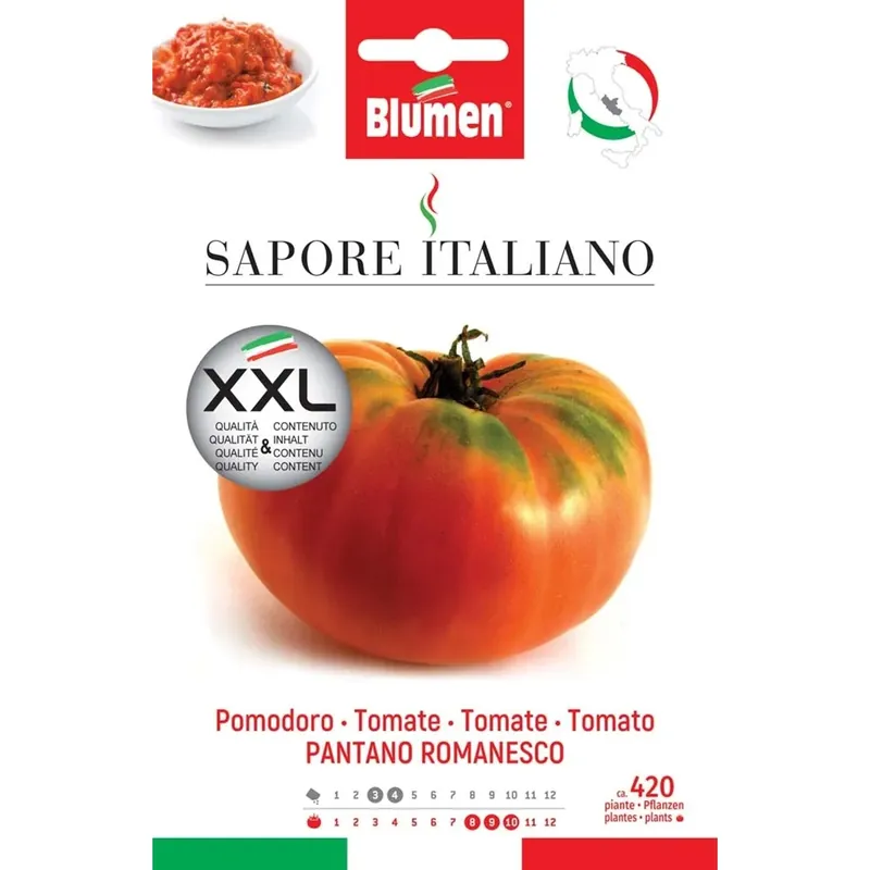 Rechtstreeks Van De Fabrikant Semi Blumen Pomodoro pantano romanesco XXL