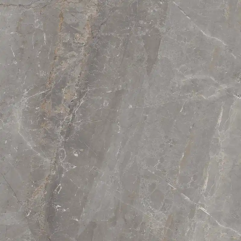 Piastrella in gres porcellanato Soveraia marmo opc silver matt 60x60 rett 1,08mq Veilige Betaling
