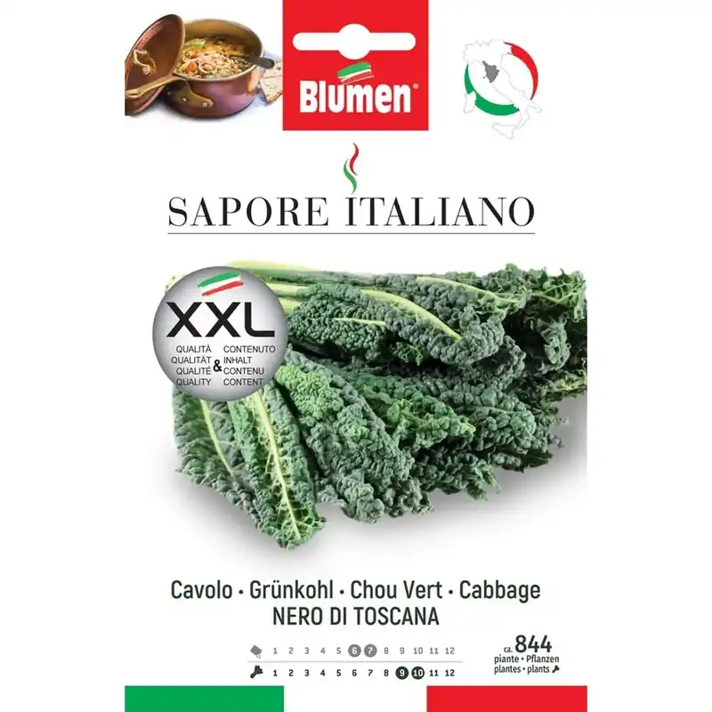 Semi Blumen Cavolo nero palmizio di Toscana XXL Koop Vandaag
