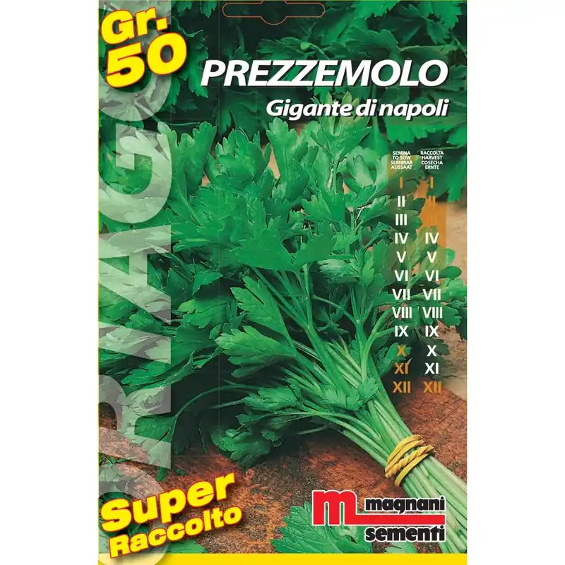 Koopje Semi orto big Prezzemolo gigante di Napoli 50 g