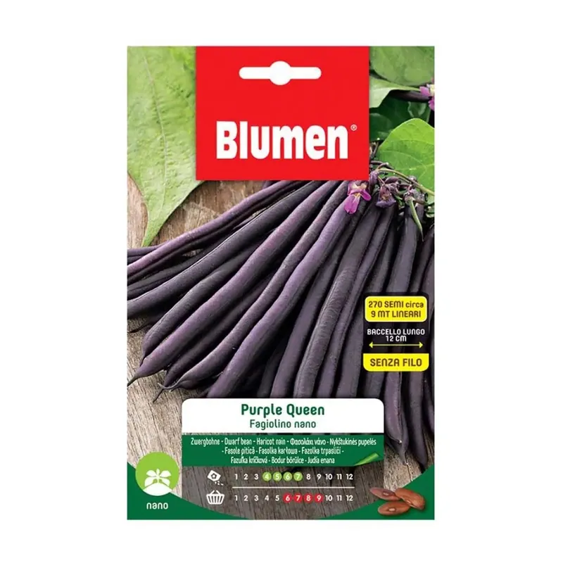Flitsaanbieding Semi Fagiolini Nani Purple Queen
