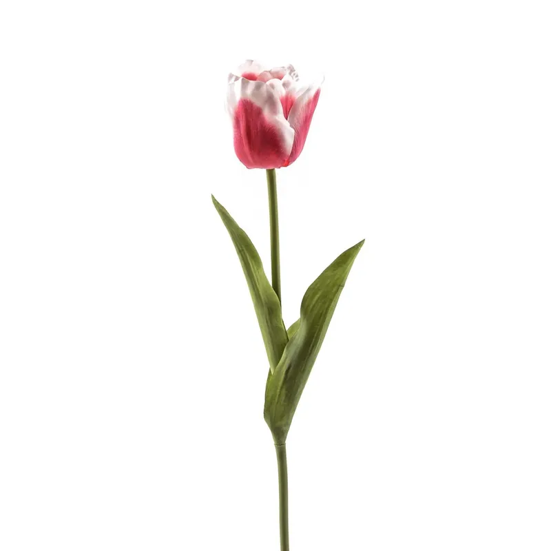 Tulipano finto in plastica H62 cm bianco e fucsia Flitsaanbieding