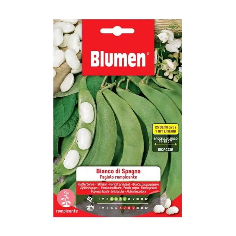 Speciale Aanbieding Semi Fagioli Rampicanti Bianco Di Spagna