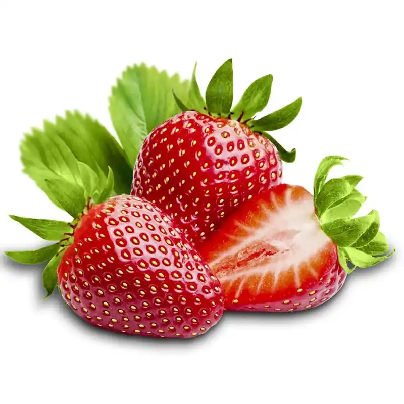 Fragola rifiorente vaschetta 4 piante Korting