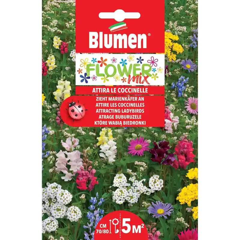 Semi mix di fiori che attirano le coccinelle Exclusieve Aanbieding