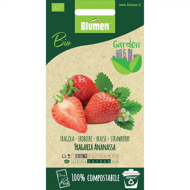 Snelle Levering Semi Fragola Ananassa