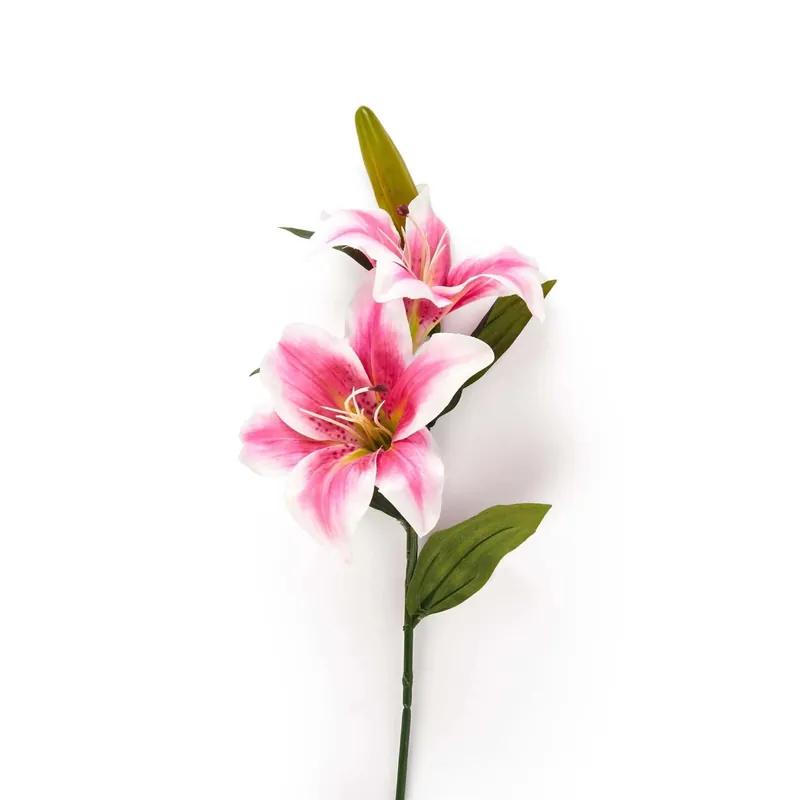 Lilium finta 2 fiori bocciolo in plastica e poliestere H66 cm fucsia Voordeelprijs