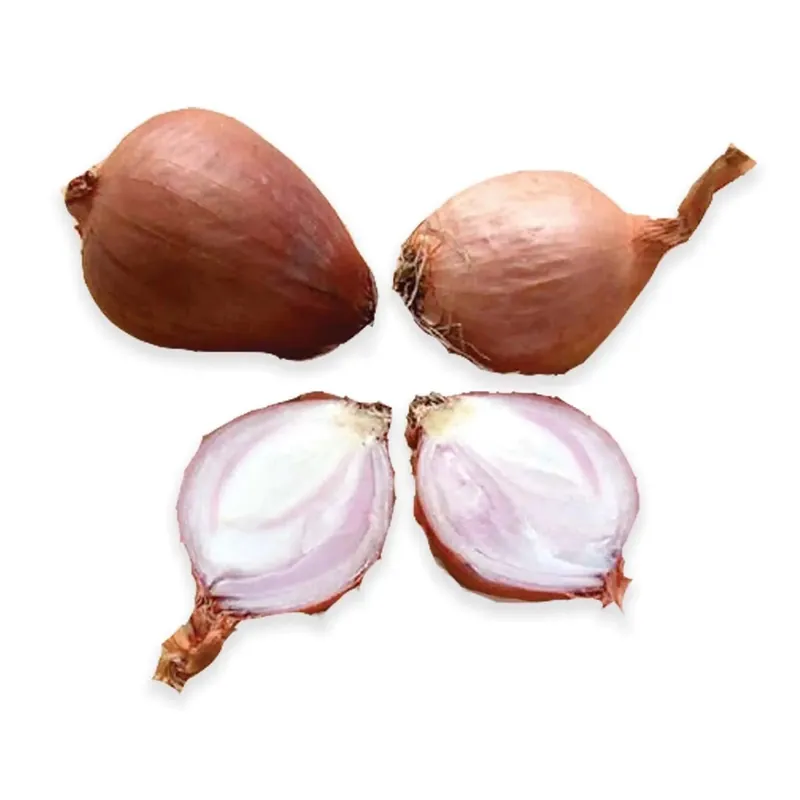 Beperkte Voorraad Bulbo scalogno 500 g