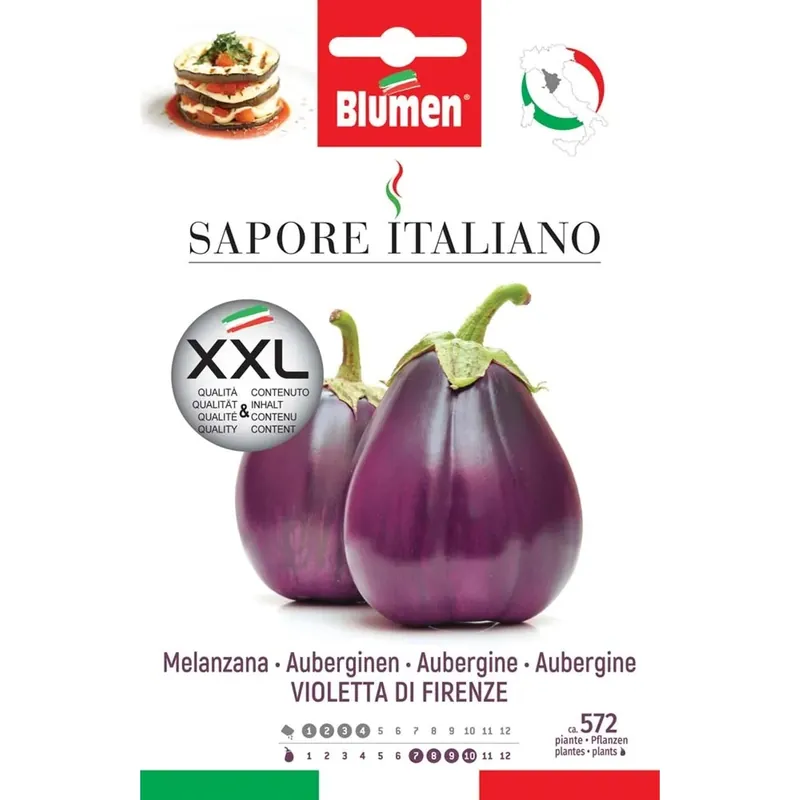 Bestseller Semi Blumen Melanzana violetta di Firenze XXL