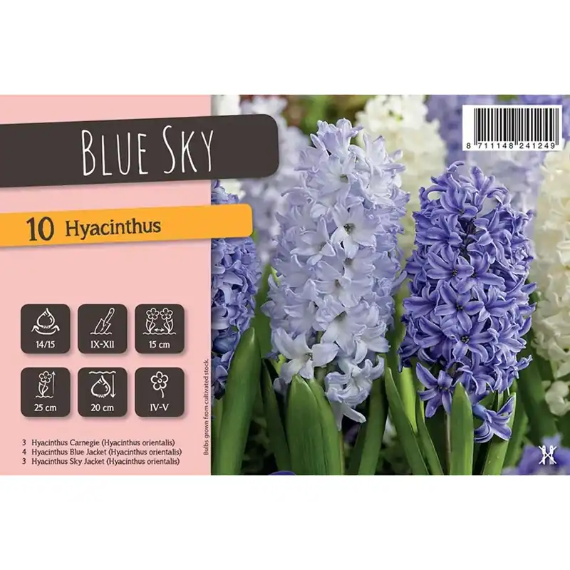 Seizoensaanbieding Giacinti Blue Sky multicolore 10 pezzi