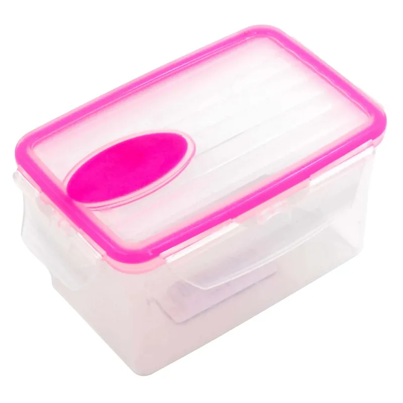 Betrouwbaar Contenitore salvafreschezza piccolo 13x8x5 cm 300 ml colori assortiti