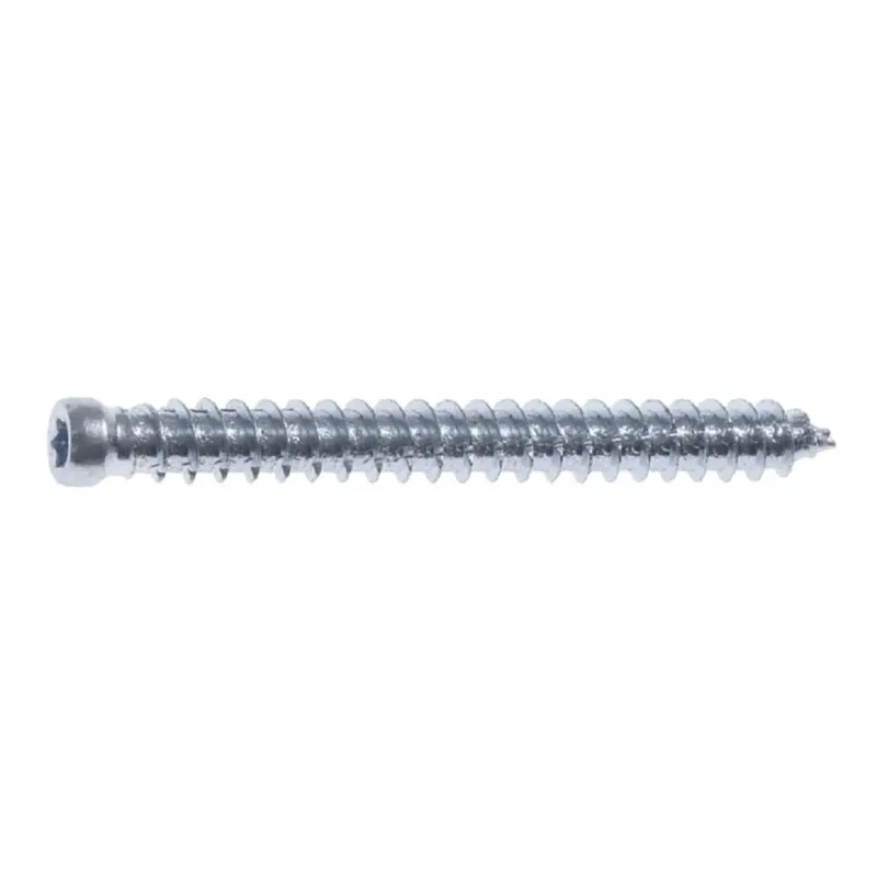 Aanbieding Vite per Infisso Testa Cilindrica Impronta Torx TX 30 7,5x132 mm 2 pz