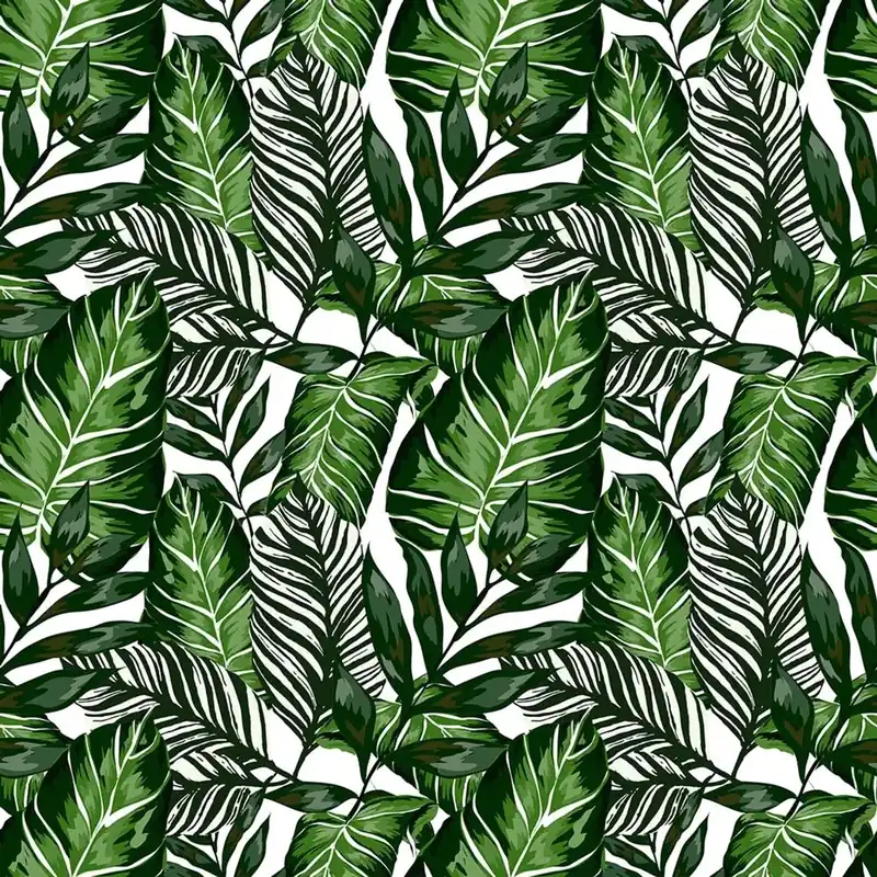 Koop Online Plastica adesiva decorativa in rotolo guinea 45 cm x 2 m