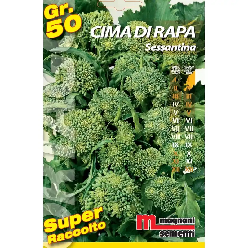 Veilige Betaling Semi orto big Cima di rapa sessantina 50 g