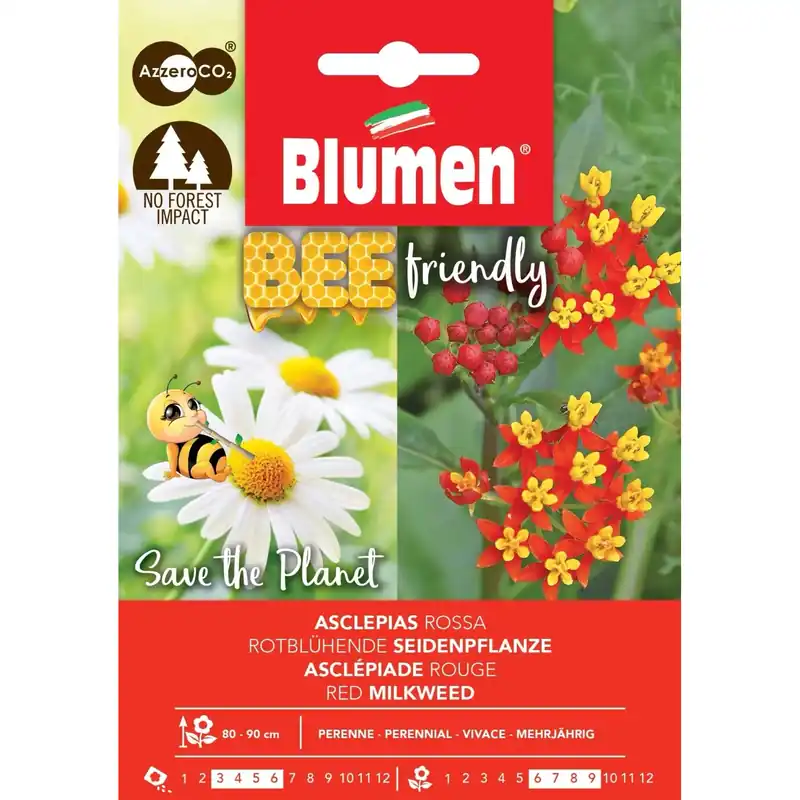Direct Verzonden Semi Bee Friendly Asclepias Rossa