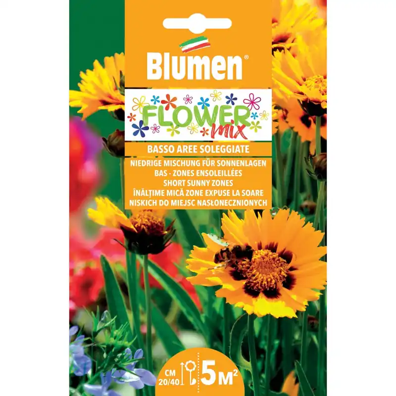 Meest Verkocht Semi mix fiori bassi per aree soleggiate