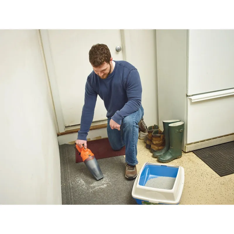 Aspiratutto portatile Dustbuster 18V Koop Vandaag