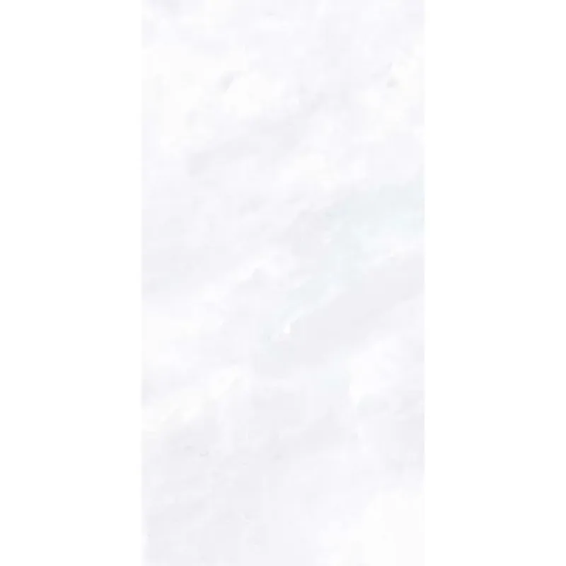 Piastrella in gres Salt White lucido 59,6x119,2 cm Rechtstreeks Van De Fabrikant