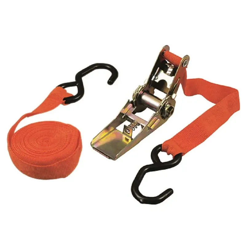 Cinghie doppie con due ganci e cricchetto L 4,5 mt Laatste Kans