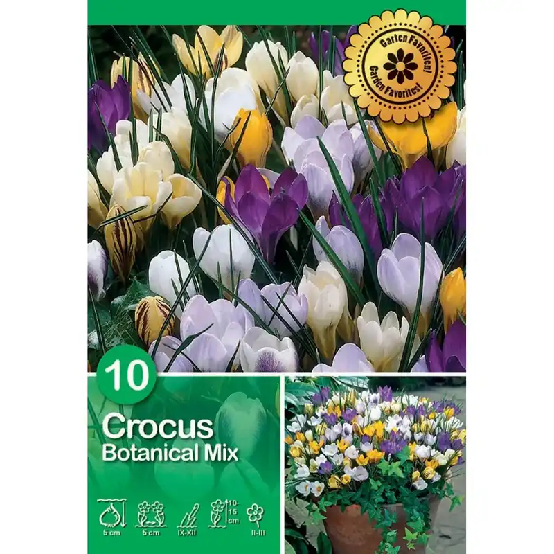 Crocus Mixed 10 pz Laatste Versie