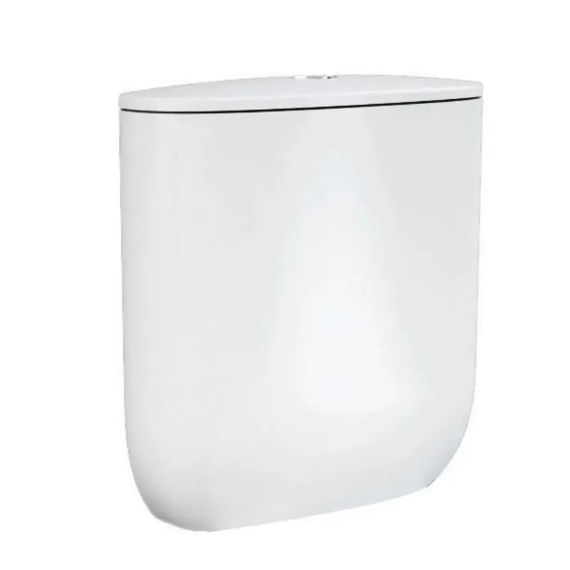 Gratis Retour Cassetta WC completa per monoblocco Morning in ceramica bianco