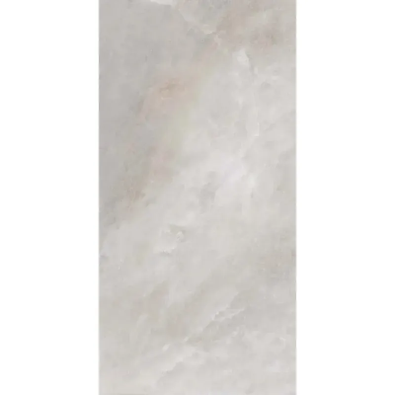 Piastrella in gres Salt Grey lucido 59,6x119,2 cm Dagaanbieding