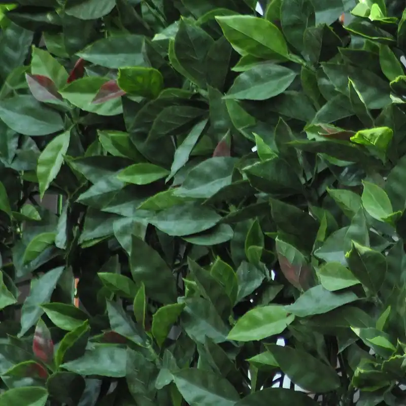 Weekendaanbieding Siepe artificiale con foglie 3D Panel Photinia H 0,5 m x L 1 m verde
