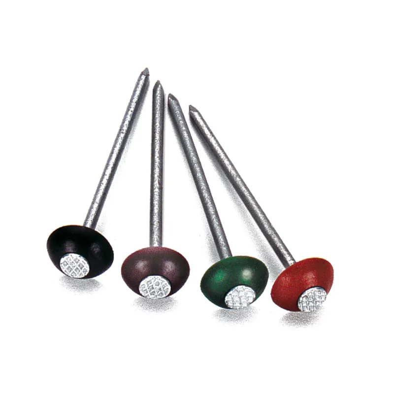 Direct Beschikbaar Chiodi zincati super verde 2,8 x70 mm 200 pz